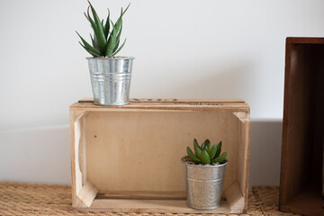 Dos cactus en macetas de metal sobre una caja de madera en una habitacion con fondo blanco