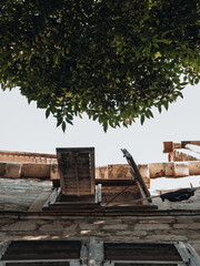 dubrovnik city in summer