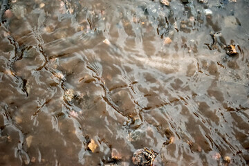 rain puddles and streams covered the ground, close-up