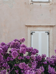 dubrovnik city in summer