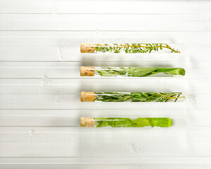 Test tubes lined up horizontally. Decoctions of infusions of herbs on a light wooden background on the right.