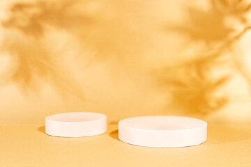 Autumn background with geometric podiums and shadow of the maple tree leaves on a wall. Abstract Autumn scene with copy space.