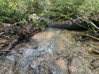 mountain stream