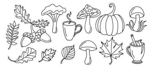 Set with autumn leaves in a line art style.