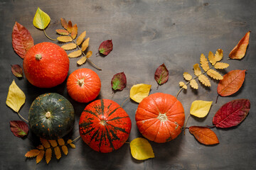 Autumn mood composition. Fallen leaves and pumpkins on wooden table background. Happy Thanksgiving concept. Flat lay, top view, copy space.