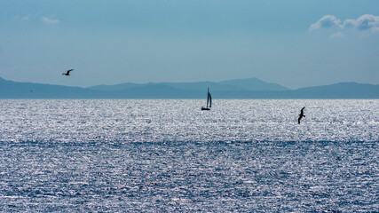Naklejka premium A sailing boat on a silver sea with a couple of seagulls.