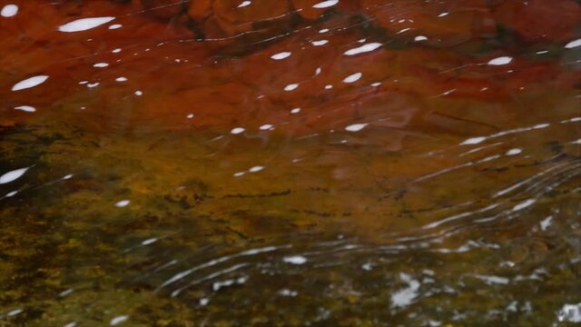 Super Clear Water flowing over Bronze Colored Rocks, Pringle Bay, South Africa