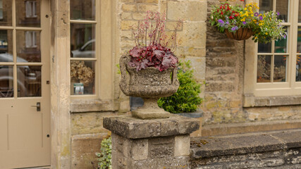 Old stone planter with red plant