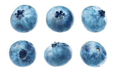 set of blueberry isolates. ripe farm organic blueberries in different positions and from different sides on a white background.