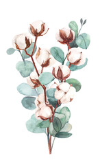 Naklejka na ściany i meble Watercolor hand painted floral arrangement with cotton and eucalyptus branches illustration isolated on white background