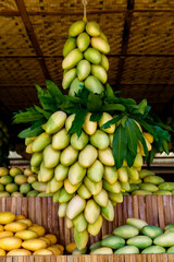 Mango festival. Stand with fresh mango fruits in the street market