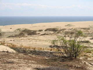 Dunes of the Baltic Sea, sand dunes with sparse vegetation on the background of the sea. Landscape photography, a variety of landscapes, travel.