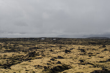 Iceland nature background. The moss field with lava stones - typical landscape of Iceland