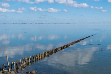 Fototapeta premium Faschinen in Lahnungen. Insel Föhr
