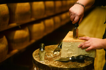 Cheese master cutting a parmesan cheese wheel at the dairy