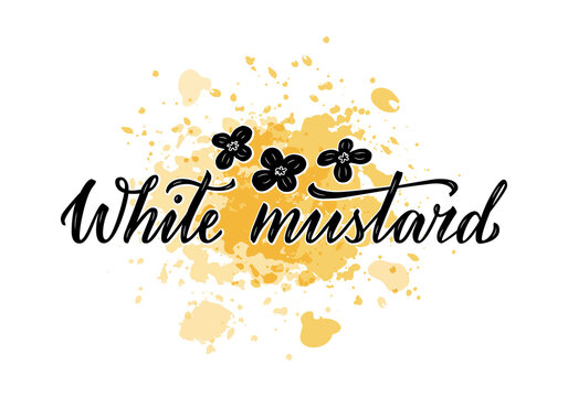 Vector illustration of white mustard lettering for packages, product design, banners, stickers, spice shop price list and decoration. Handwritten phrase with floral graphic elements for web or print
