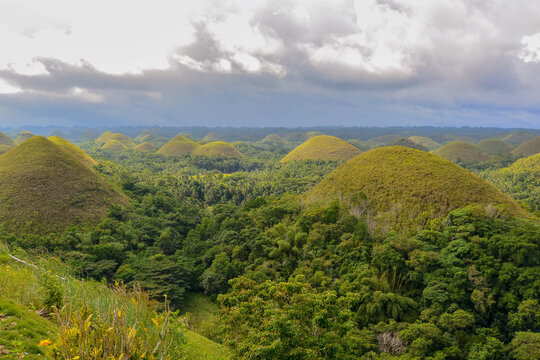 Landscape of the Chocolate Hills, Bohor, Philippines