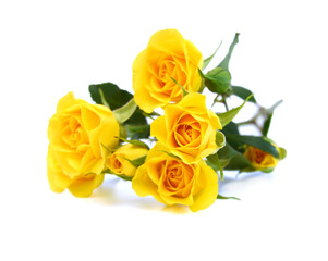 Fototapeta premium Bunch of rosy roses isolated on white 