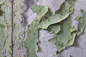 Green peeling paint on the wall. Old concrete wall with cracked flaking paint. Weathered rough...