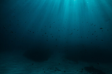 underwater scene with rays of light