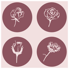 roses icons, and flowers in pink isolated on a background