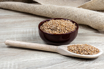 whole wheat grains in a wooden spoon and a ceramic bowl on a wooden table in Brazil
