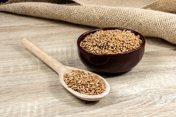 whole wheat grains in a wooden spoon and a ceramic bowl on a wooden table in Brazil
