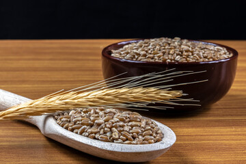 whole wheat grains in a wooden spoon and a ceramic bowl on a wooden table in Brazil