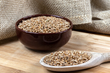whole wheat grains in a wooden spoon and a ceramic bowl on a wooden table in Brazil