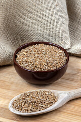 whole wheat grains in a wooden spoon and a ceramic bowl on a wooden table in Brazil