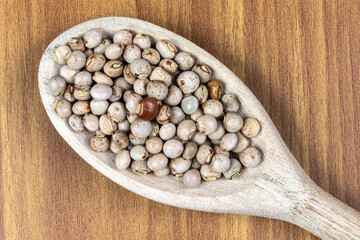 pigeon pea or tuvar beans or guandu bean (Cajanus cajan) seeds in ceramic bowl on the wooden table in Brazil
