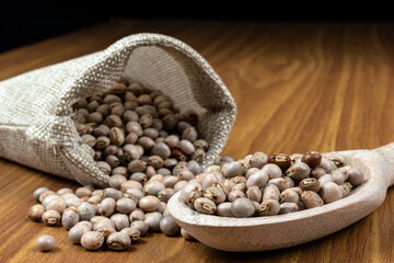 pigeon pea or tuvar beans or guandu bean (Cajanus cajan) seeds in jut bag and spoon on the wooden...