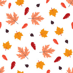 Vector illustration with seamless pattern of fallen leaves Dry leaves of oak, maple and other trees on white background