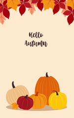Naklejka na ściany i meble Autumn harvest. Vector illustration with copy space. Flat design Colorful various pumpkins and autumn leaves on beige background