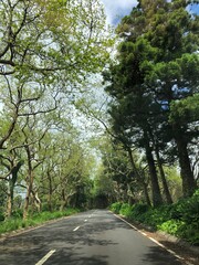 road