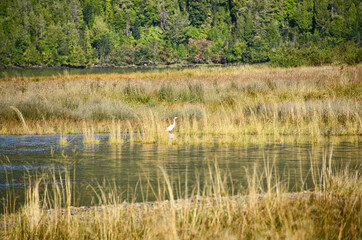 Stunning scenery along the Puyuhuapi fiord in the Ventisquero Sound, Patagonia, Aysen, Chile