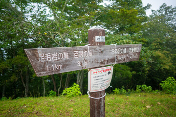 東京都西多摩郡奥多摩町の川苔山に登山している風景 Scenery of climbing Mt. Kawanori-yama in Okutama-cho, Nishitama-gun, Tokyo.