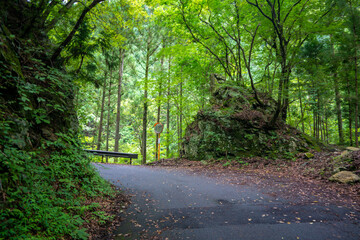 Naklejka premium 東京都西多摩郡奥多摩町の川苔山に登山している風景 Scenery of climbing Mt. Kawanori-yama in Okutama-cho, Nishitama-gun, Tokyo.
