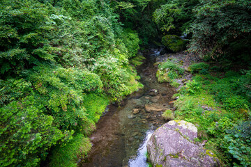 東京都西多摩郡奥多摩町の川苔山に登山している風景 Scenery of climbing Mt. Kawanori-yama in Okutama-cho, Nishitama-gun, Tokyo.