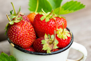 large strawberries in a white mug lie