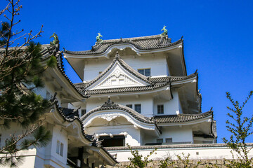 Fototapeta na wymiar 伊賀上野城