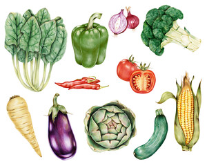 Hand drawn vegetables collection