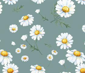 Hand drawn white common daisy pattern