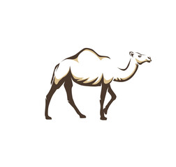 arabic camel animal vector illustration