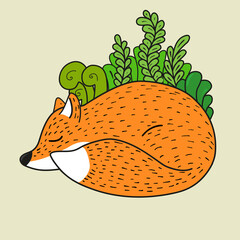 fox sleep