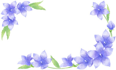 Fototapeta na wymiar 桔梗の花の水彩画風イラスト素材（正方形）／Kikyo flower watercolor style illustration material（square）