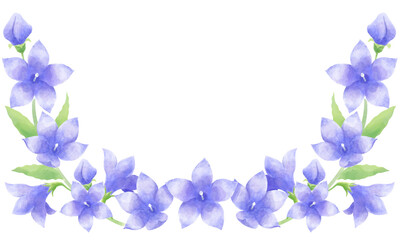 Fototapeta na wymiar 桔梗の花の水彩画風イラスト素材（横位置）／Kikyo flower watercolor style illustration material（Horizontal position）