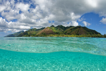lagon de moorea -  polynesie francaise