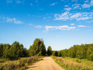 Fototapeta na wymiar A rural road among grass, forest and blue summer sky