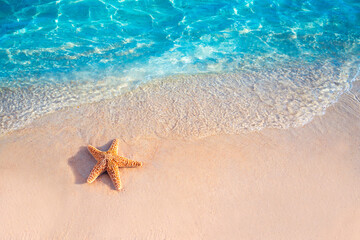 Starfish on the summer beach in sea water. Summer background. Summer time.Copy space.